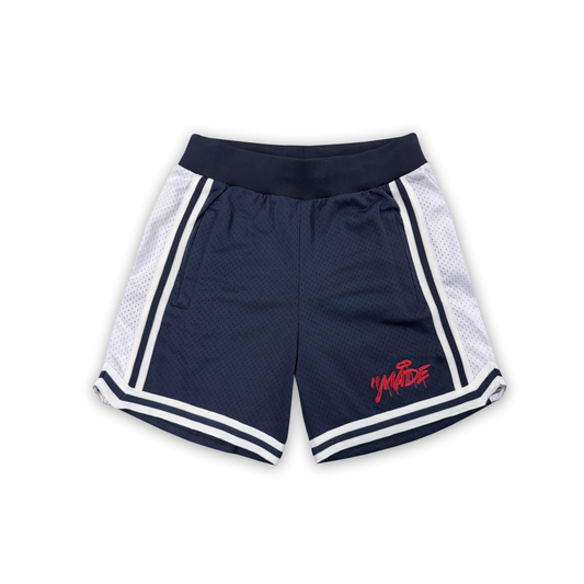 COLLEGIATE MESH SHORTS (NAVY/RED)